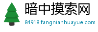 暗中摸索网